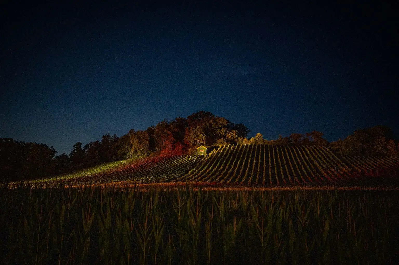 Lichtershow bei Weinberge in Flammen in Unterhaid