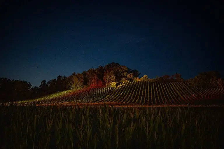 Lichtershow bei Weinberge in Flammen in Unterhaid