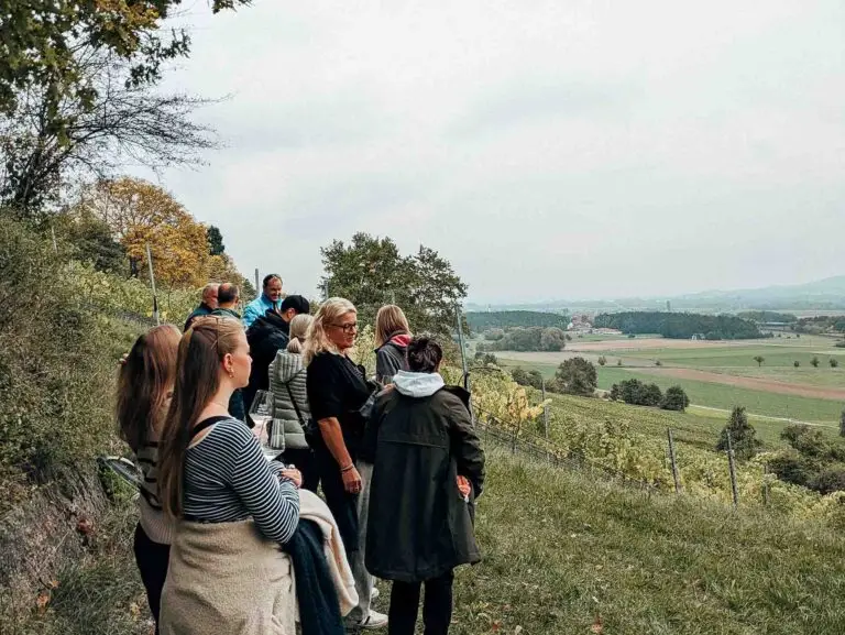 Gruppe von Menschen steht im Weinberg und blickt über die hügelige Landschaft des Bamberger Umlands.